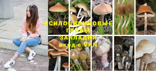 мескалин Лагань