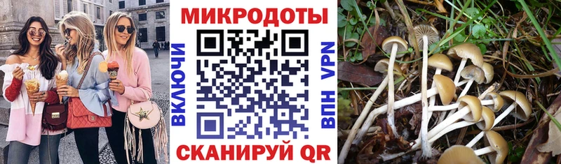 OMG как зайти  Краснодар  Псилоцибиновые грибы Cubensis  где продают  