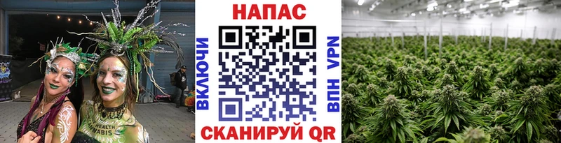 МАРИХУАНА THC 21%  OMG сайт  Краснодар 